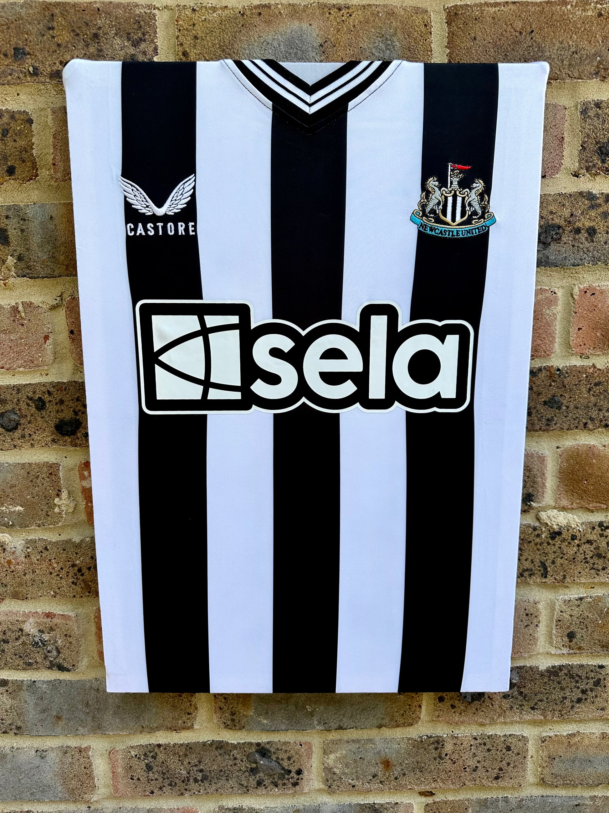 Newcastle United home shirt 2023/24 memorabilia canvas