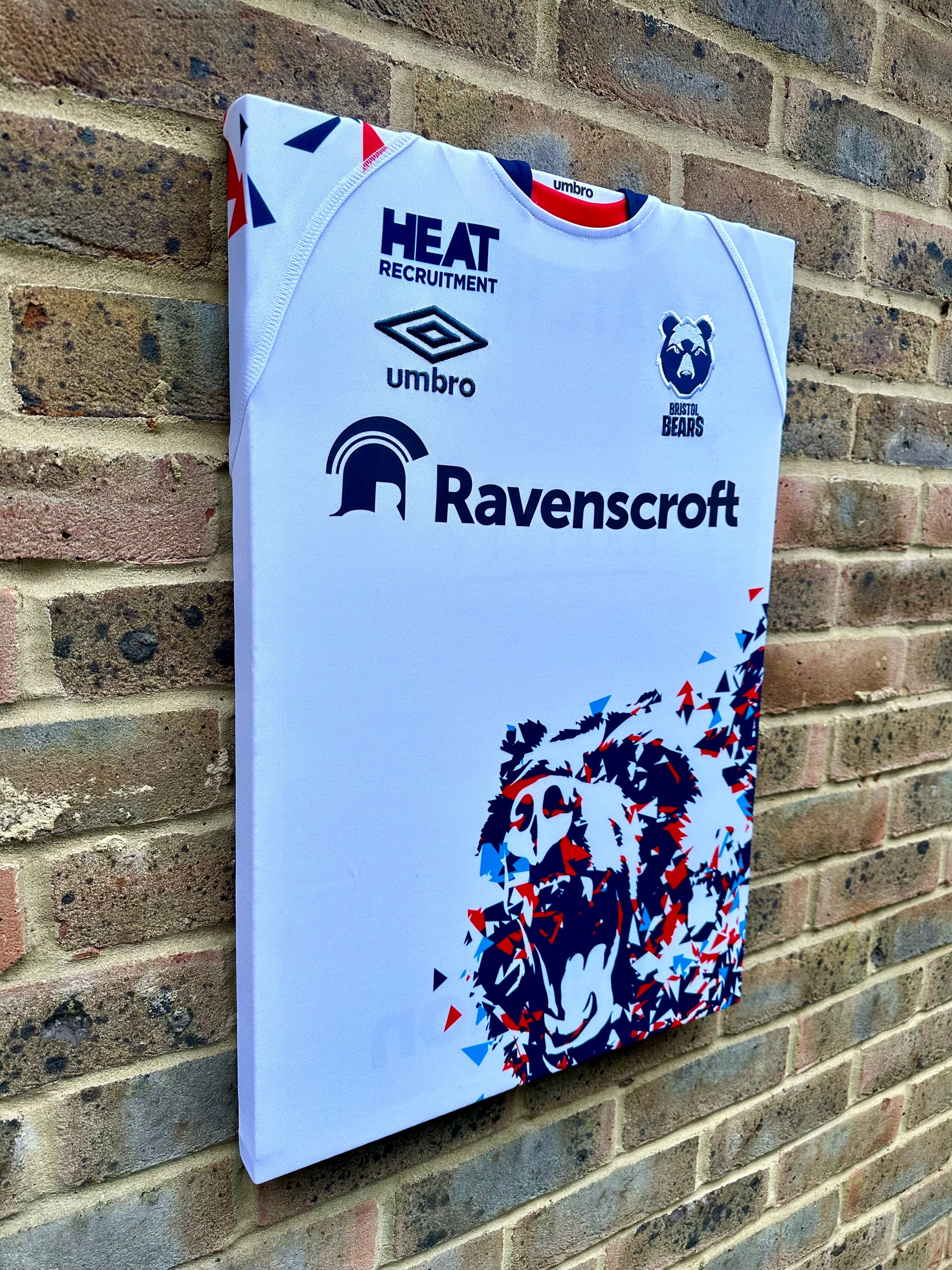 Bristol Bears rugby shirt memorabilia canvas