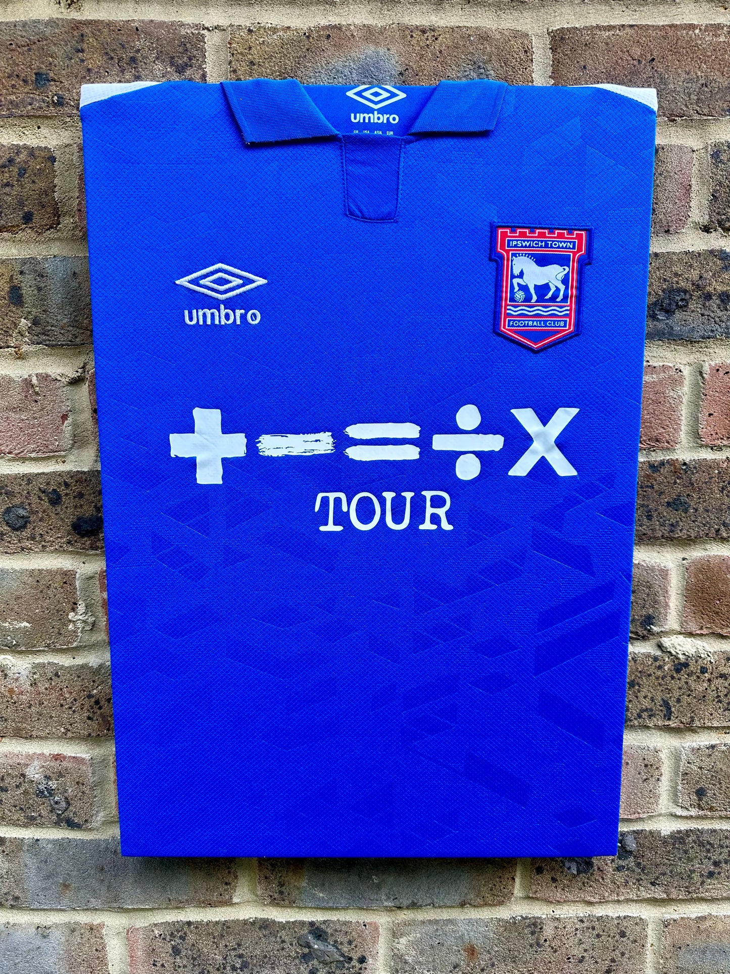 Ipswich Town 2023/24 Home Shirt Memorabilia Canvas