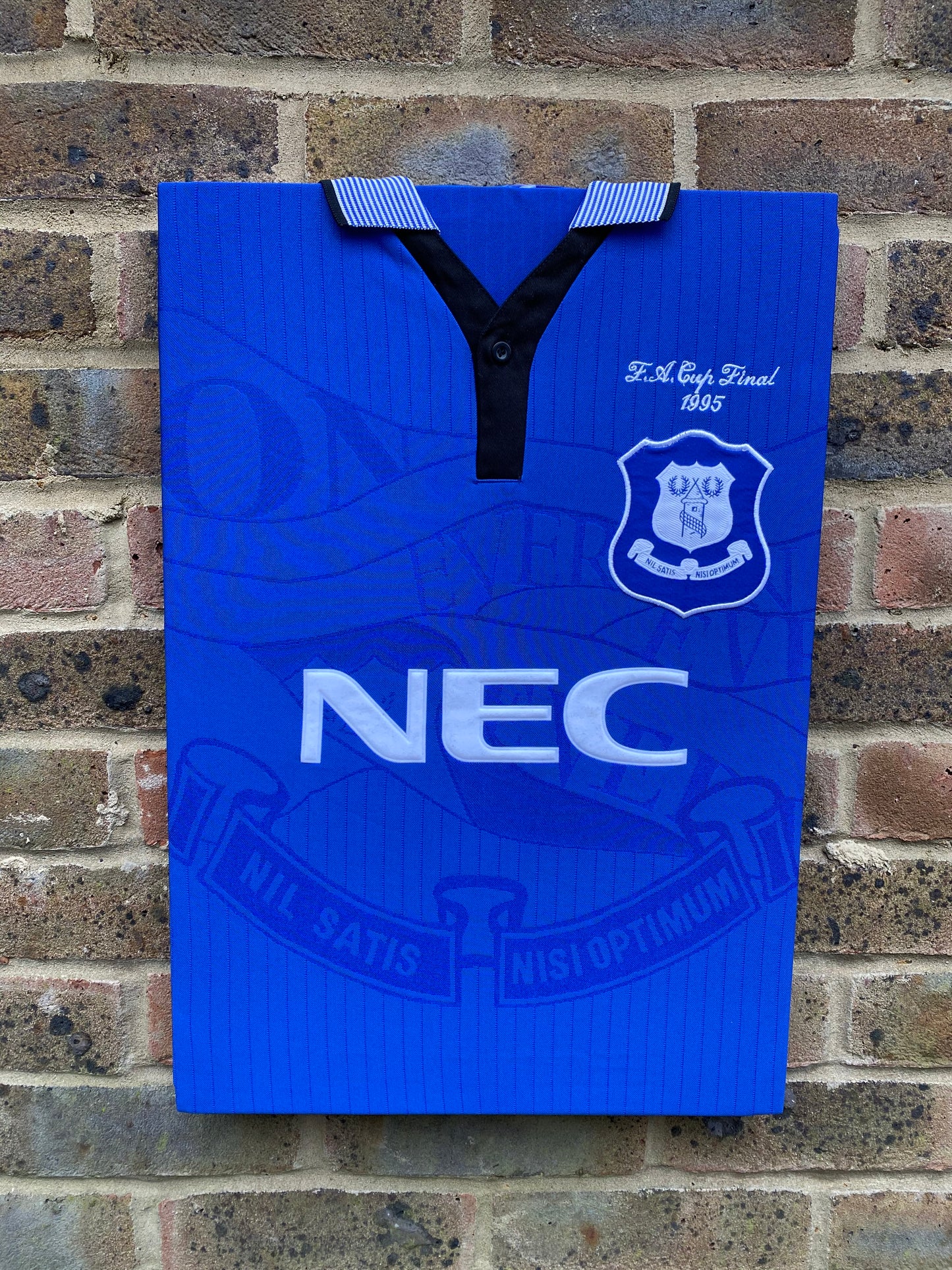 Everton 1995 fa cup final shirt memorabilia canvas