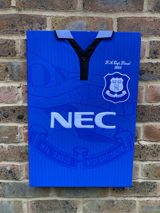 Everton 1995 fa cup final shirt memorabilia canvas