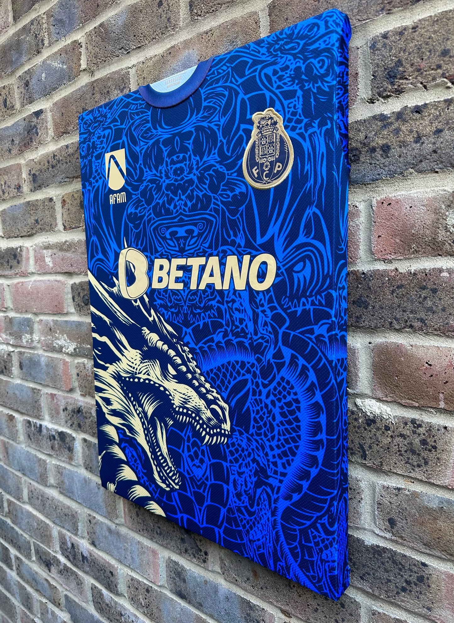 Fc Porto dragon special edition shirt memorabilia canvas