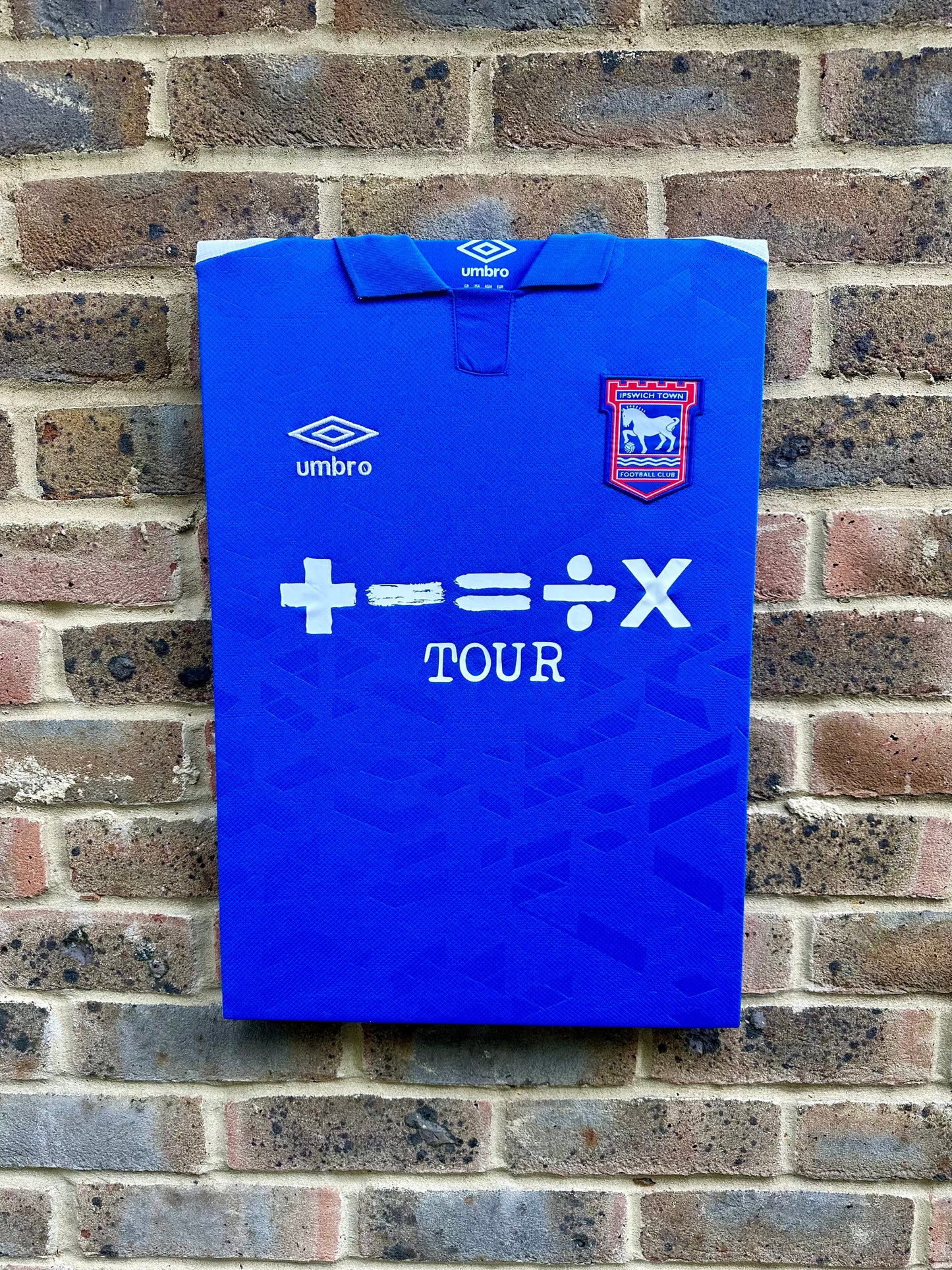 Ipswich Town 2023/24 Home Shirt Memorabilia Canvas