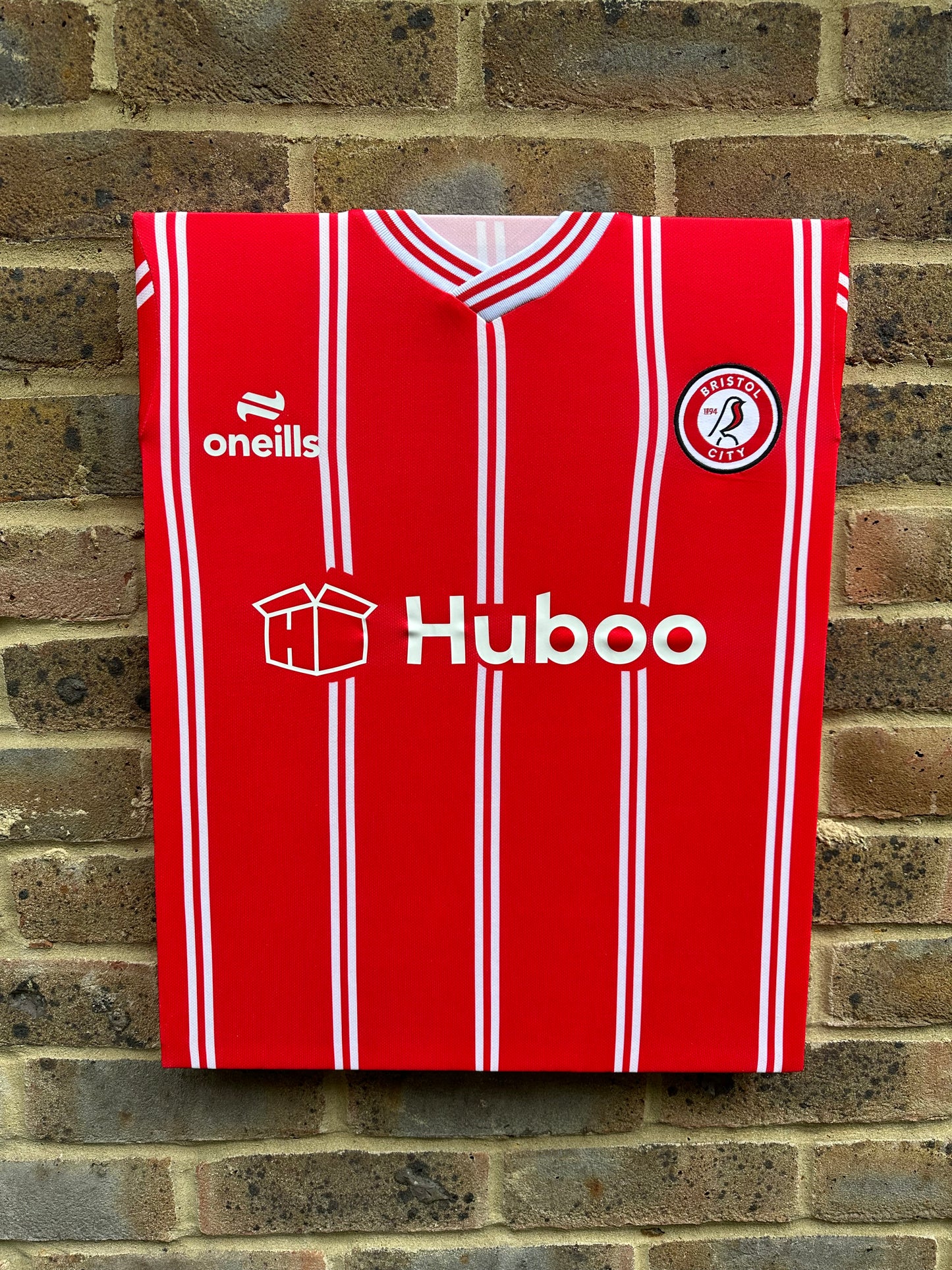 Bristol city shirt memorabilia canvas