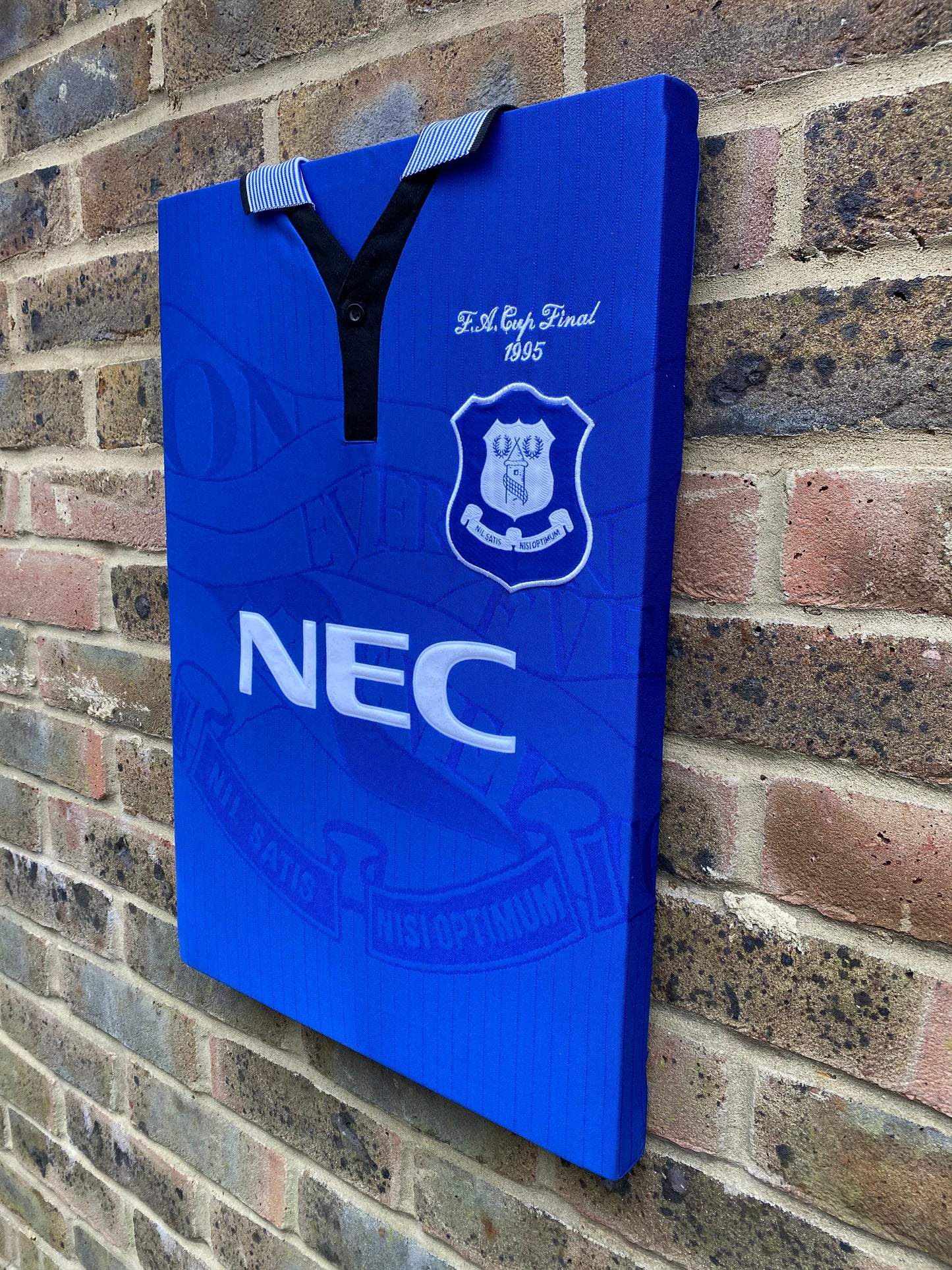 Everton 1995 fa cup final shirt memorabilia canvas