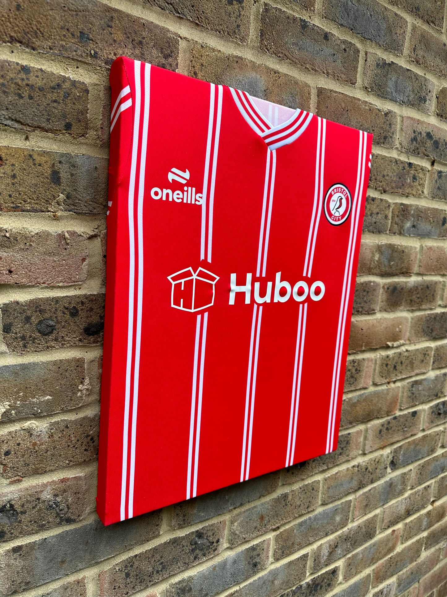 Bristol city shirt memorabilia canvas