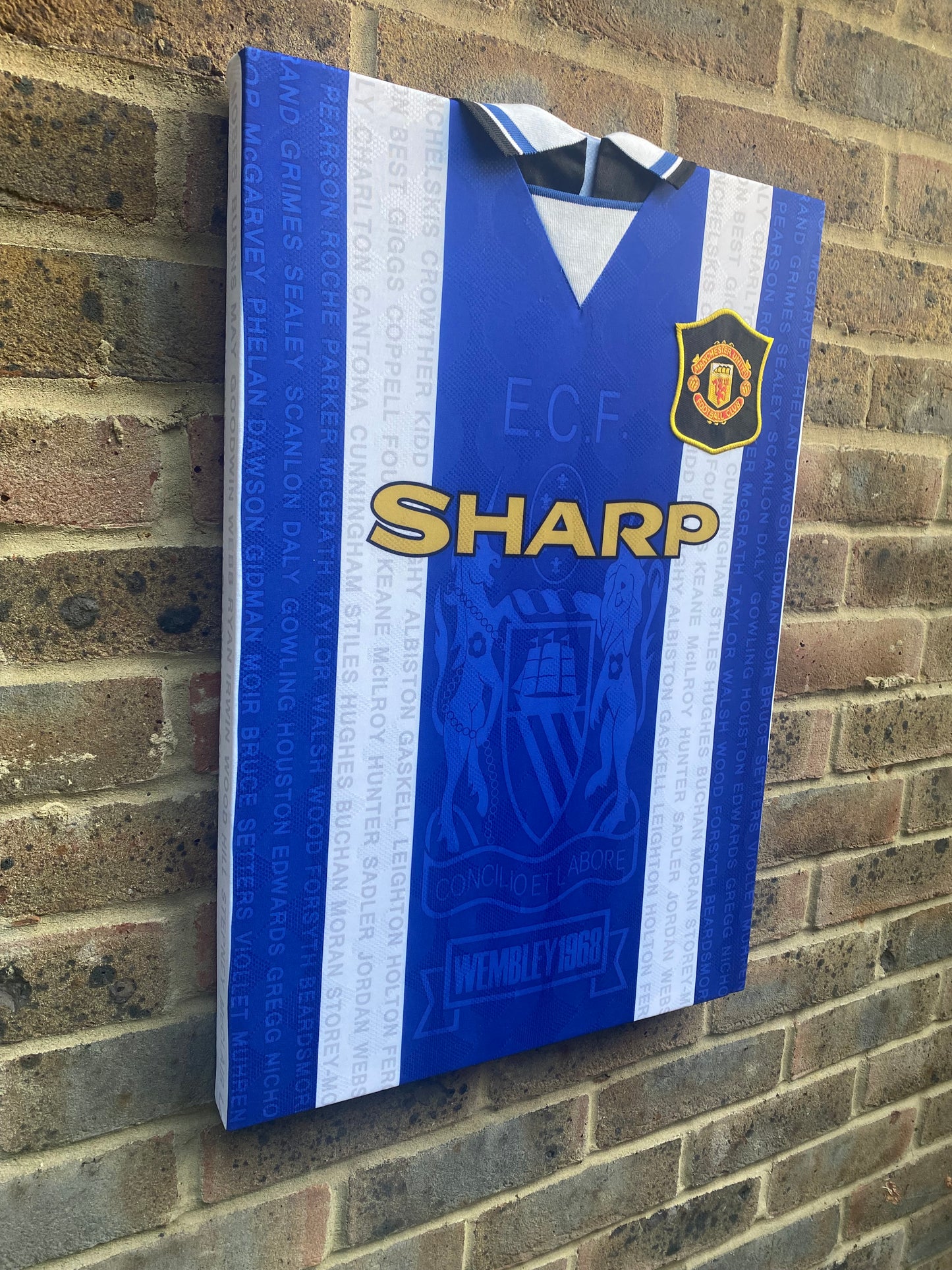 Manchester United blue and white 1994/95 3rd shirt memorabilia canvas