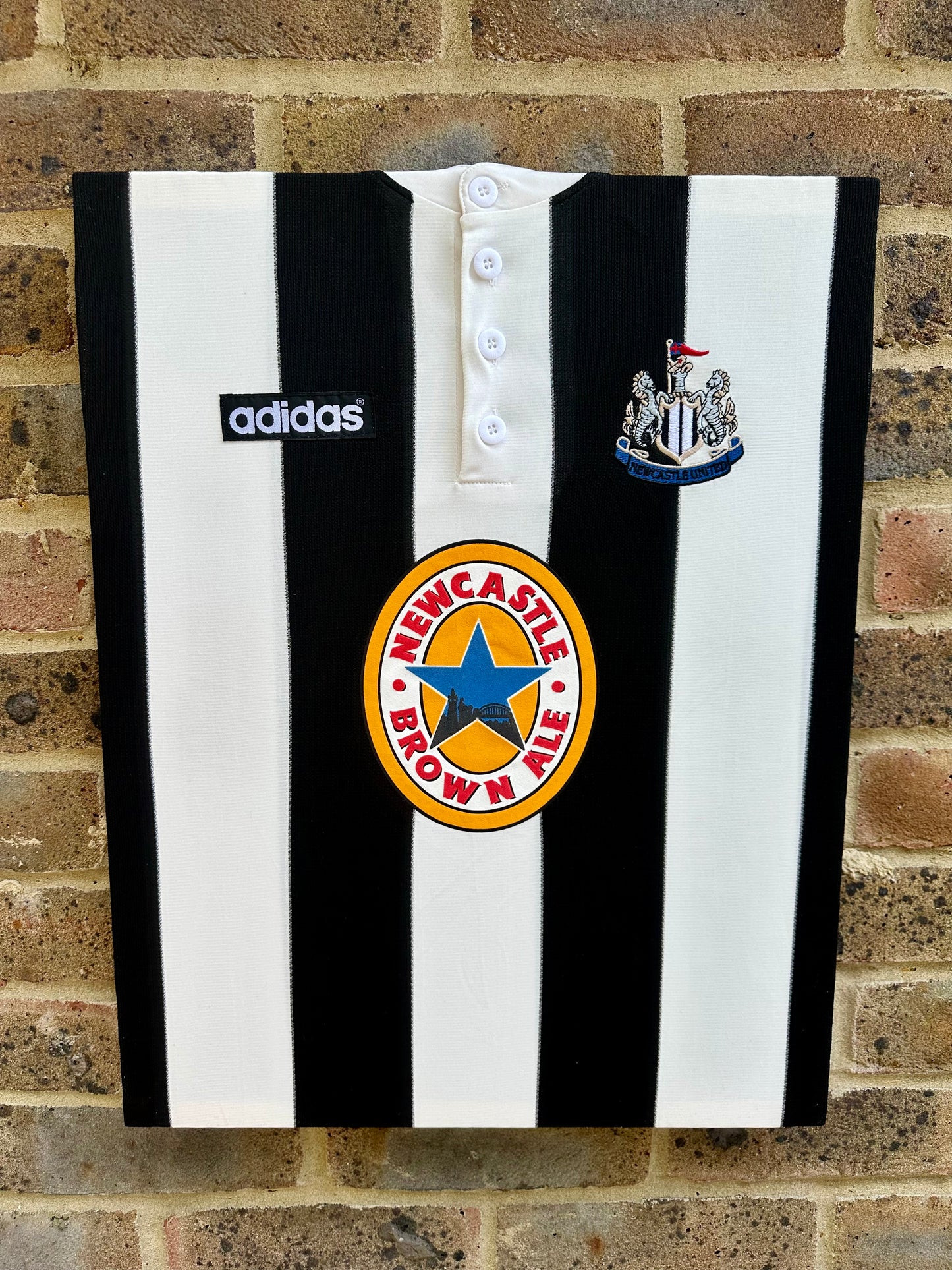 Newcastle United 1995/96 Retro Home Shirt Memorabilia Canvas